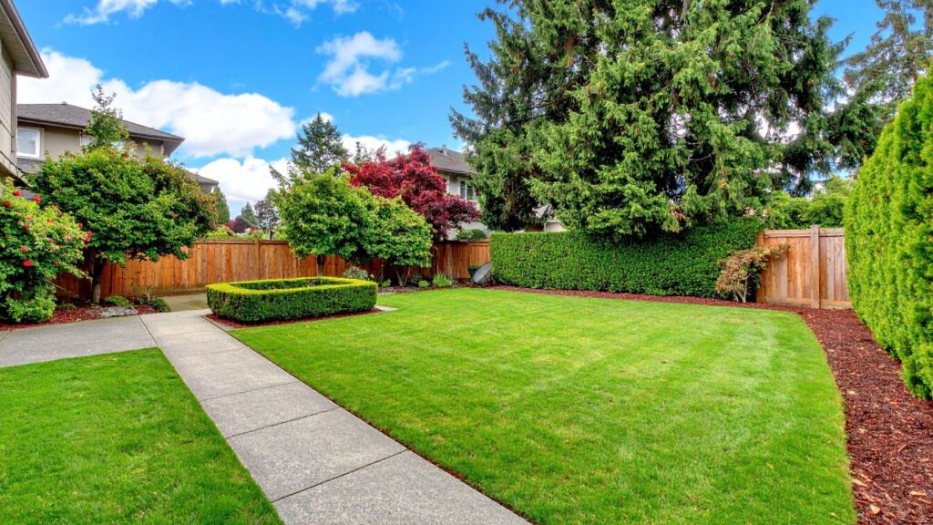 Garden landscaping and maintenance Isle of Wight